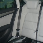 Picture 010